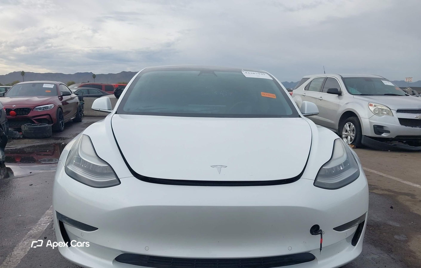 Tesla Model 3 2019