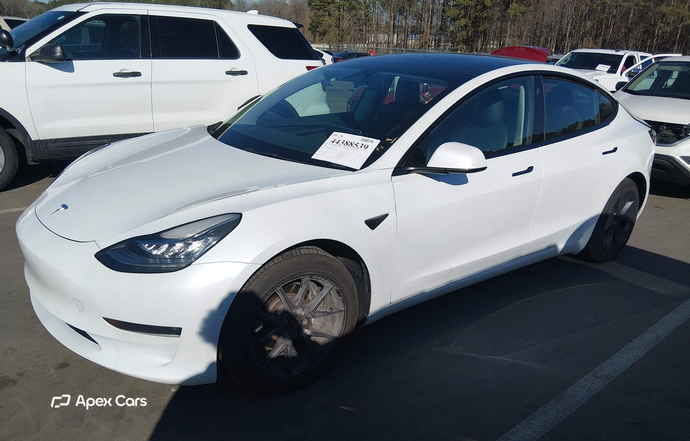 Tesla Model 3 2022