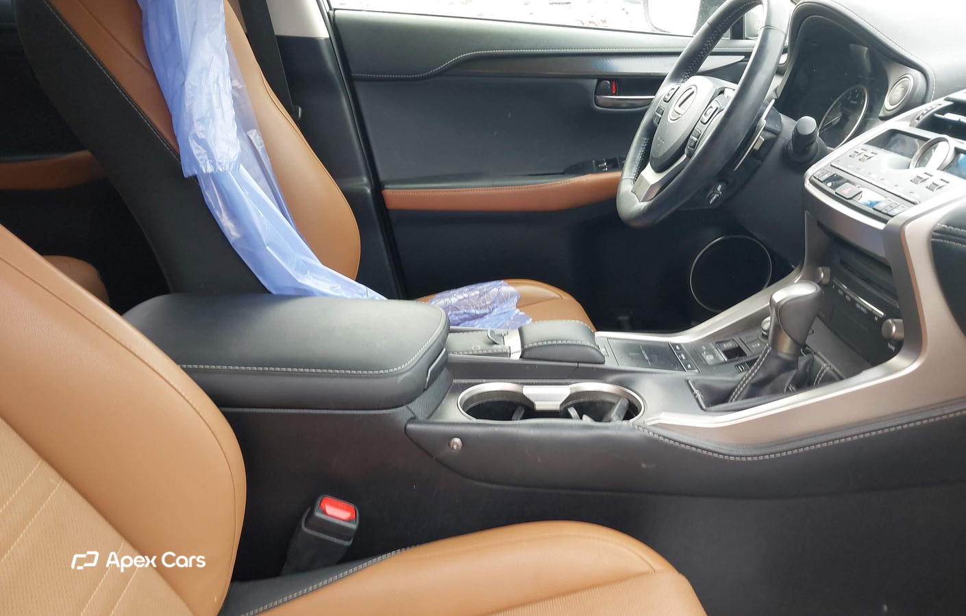 Lexus NX 2019