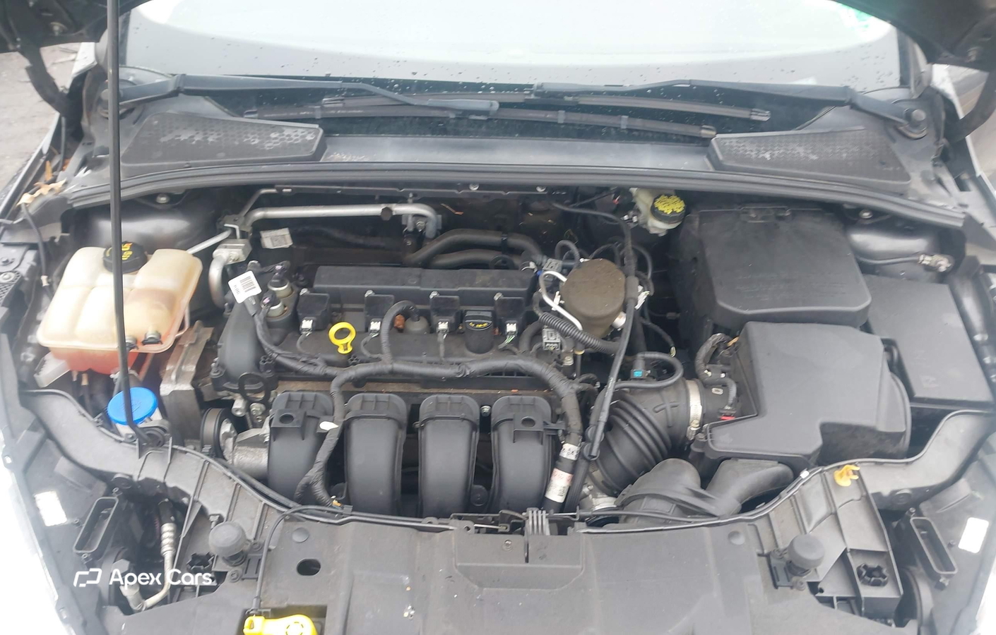 Ford Focus 2016