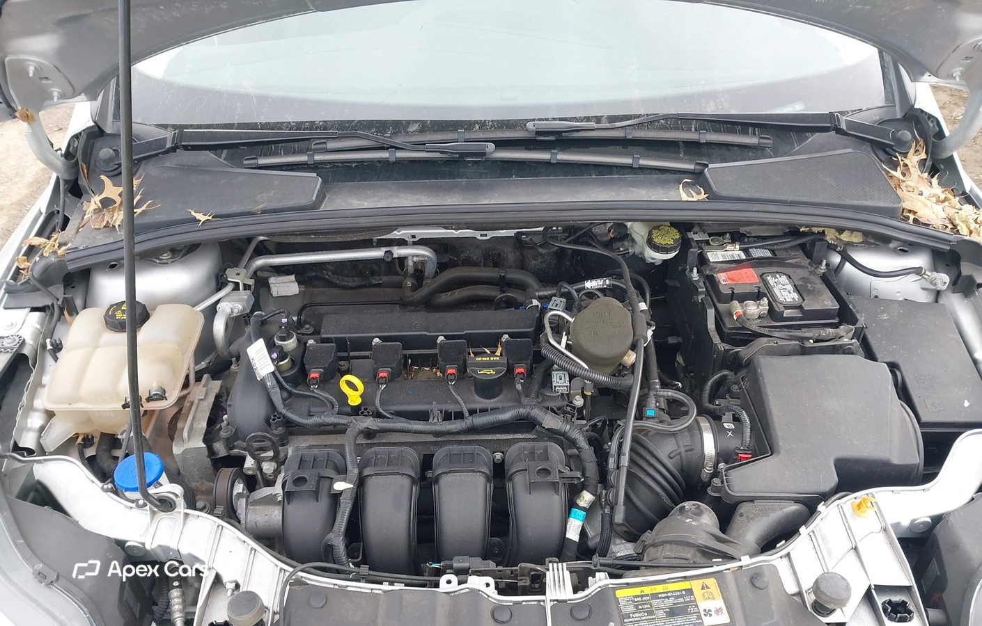 Ford Focus 2014
