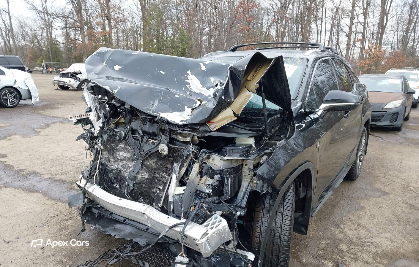 Lexus RX 2019