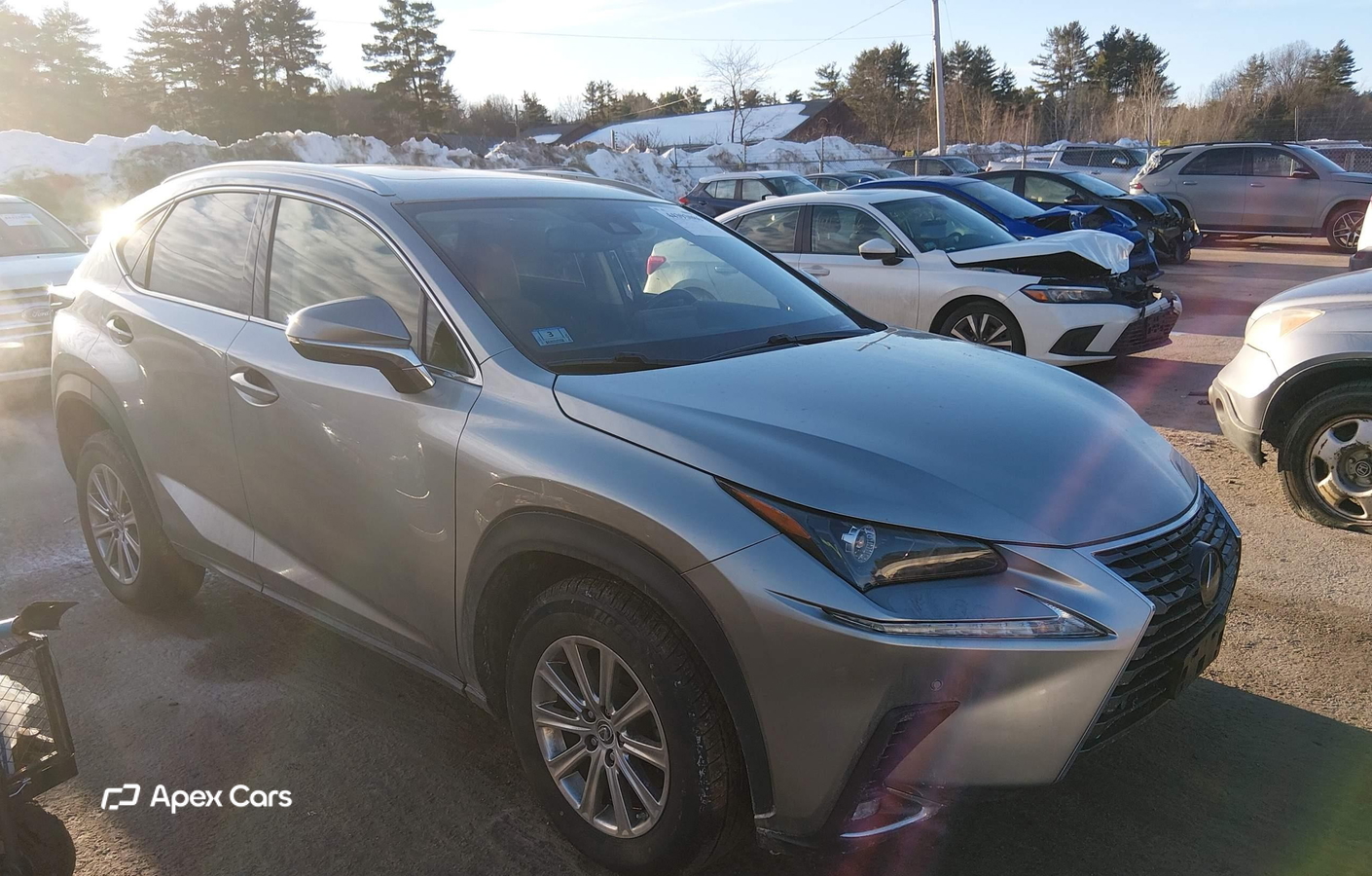 Lexus NX 2020