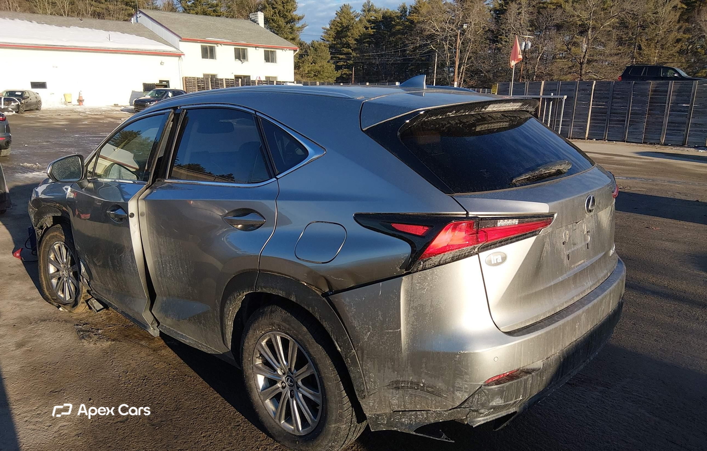 Lexus NX 2020