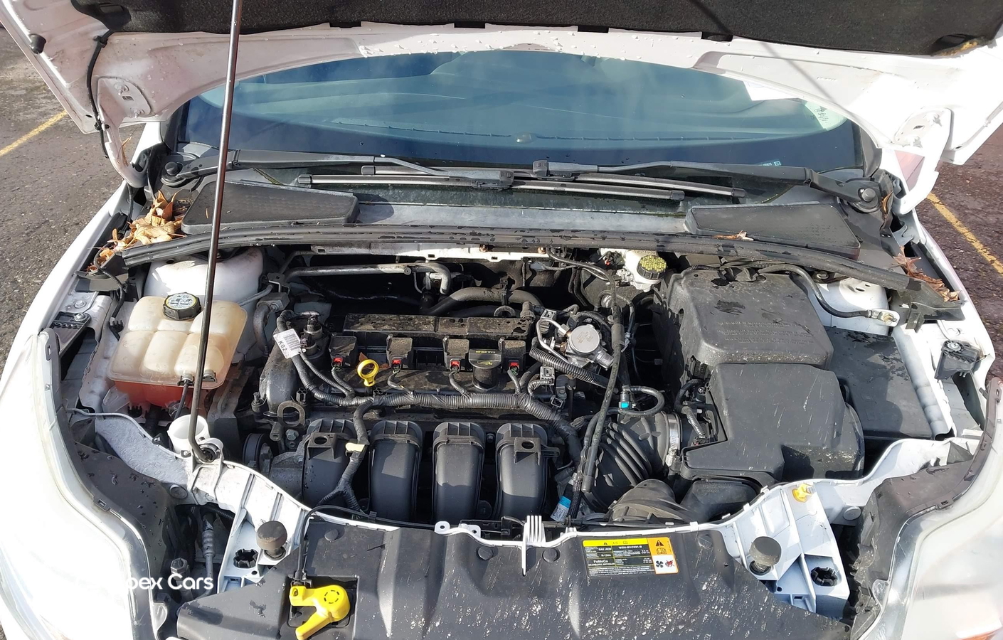 Ford Focus 2013