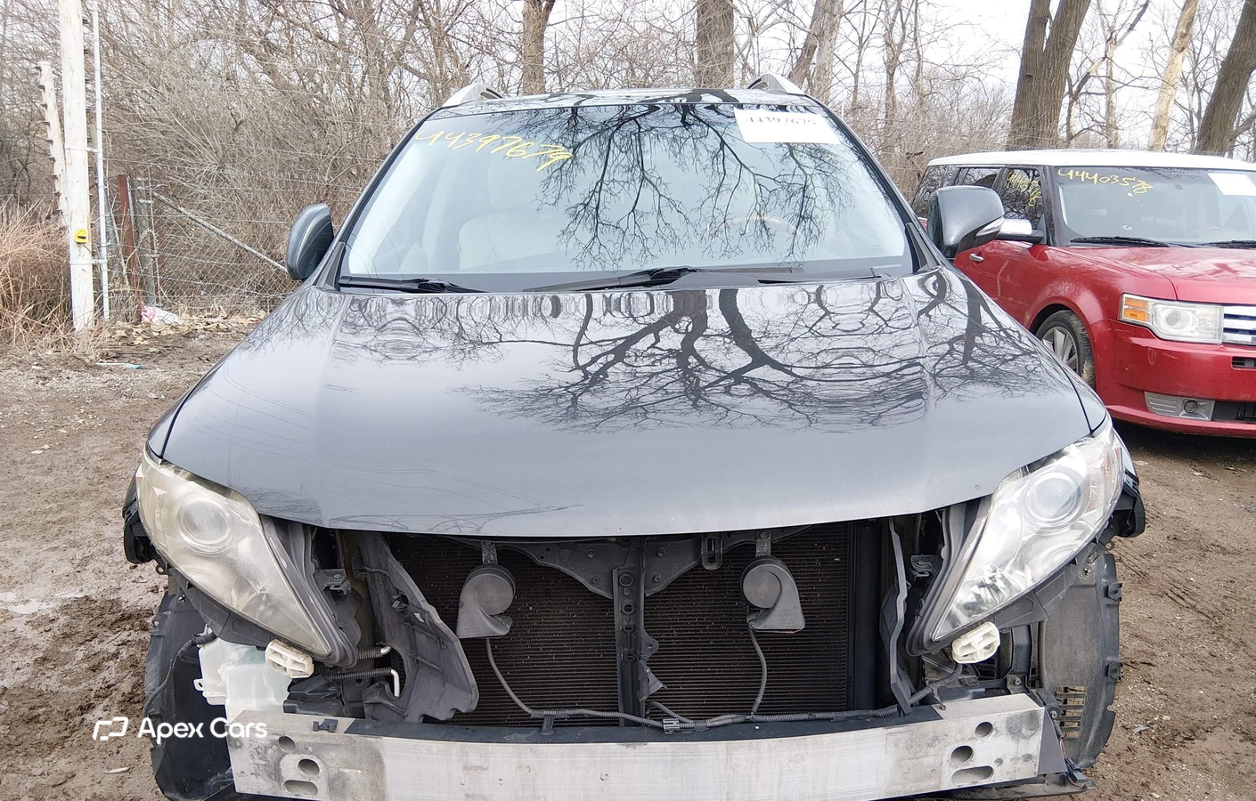 Lexus RX 2010