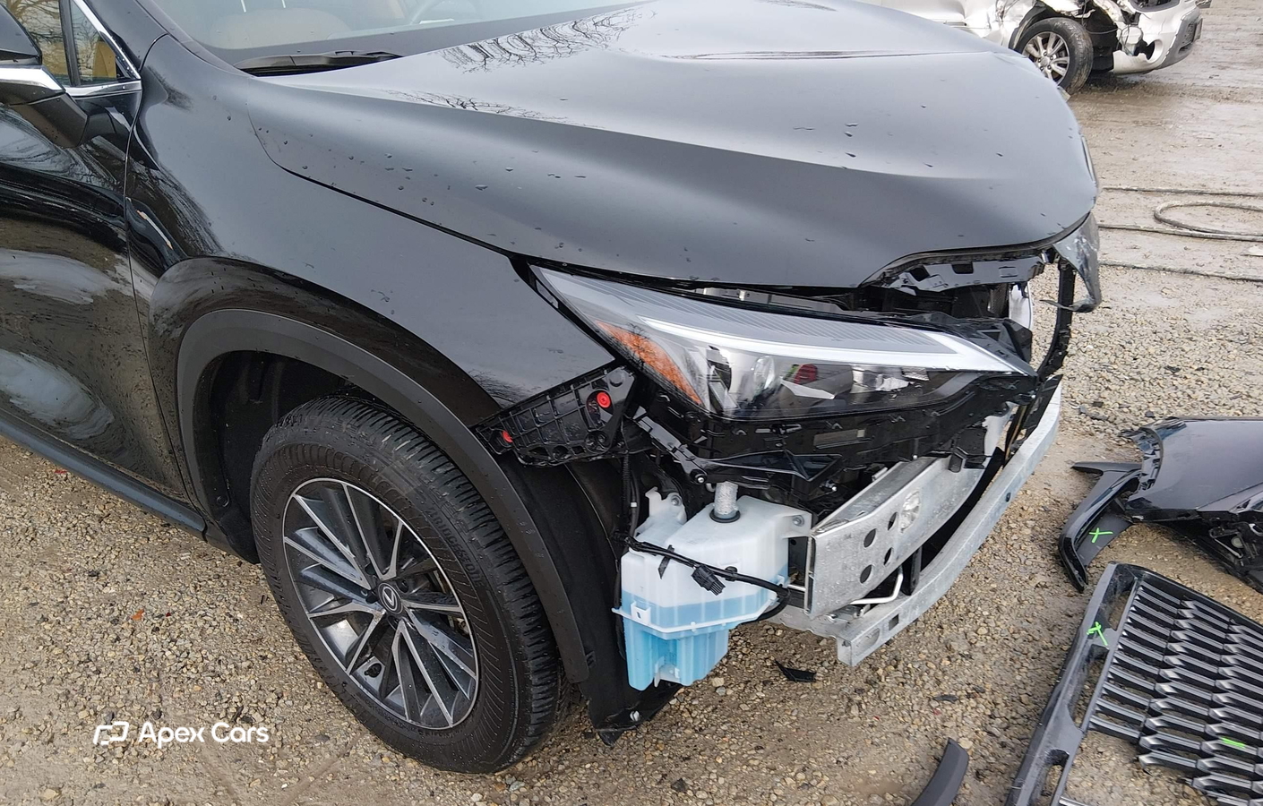 Lexus NX 2025