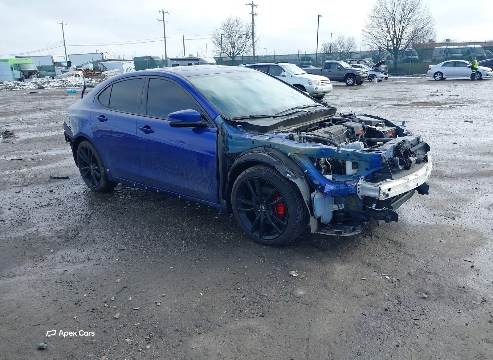 Acura TLX 2019