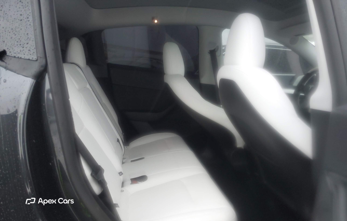 Tesla Model Y 2025