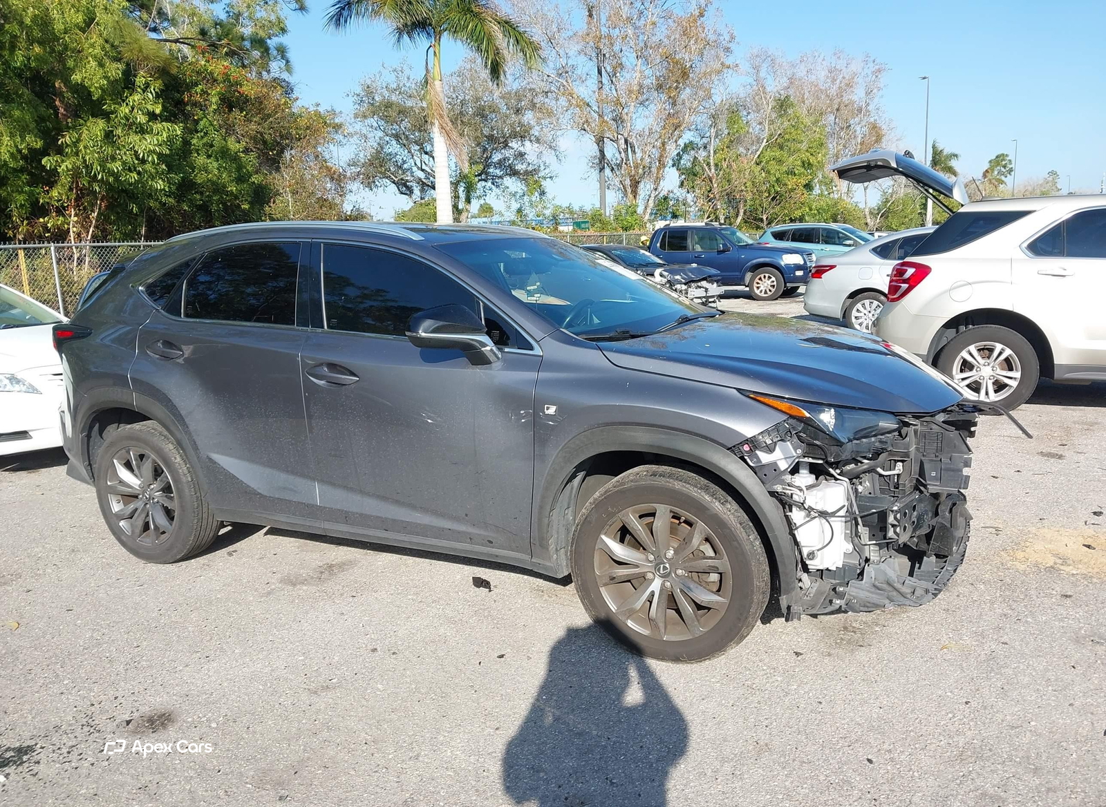 Lexus NX 2019