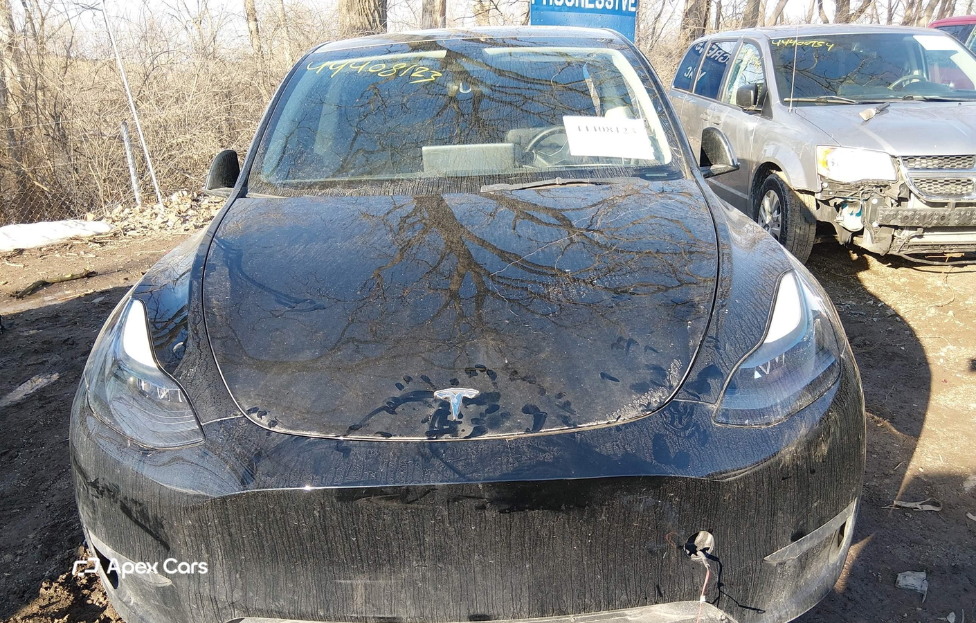 Tesla Model Y 2023