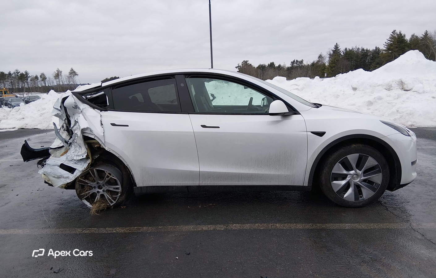 Tesla Model Y 2024