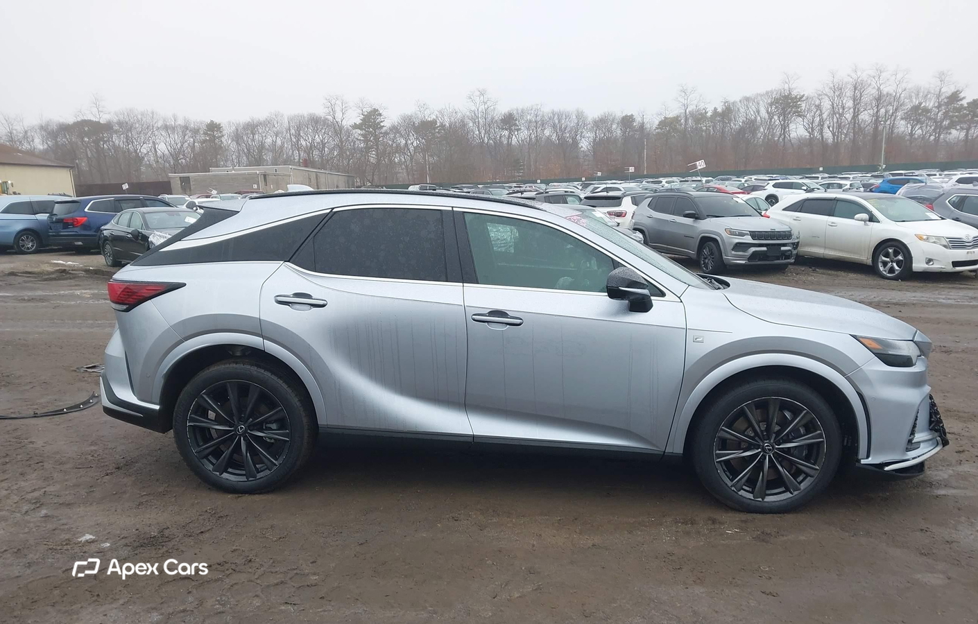 Lexus RX 2024