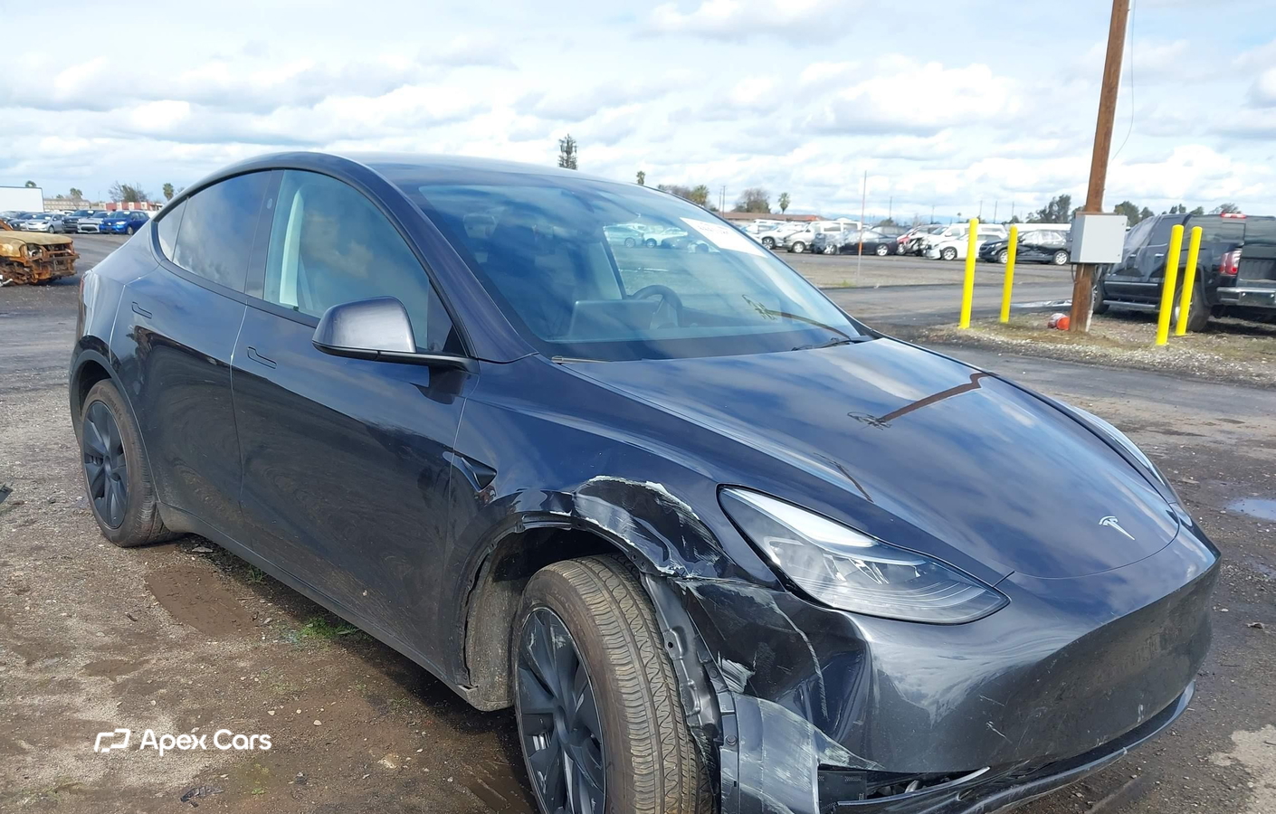 Tesla Model Y 2024