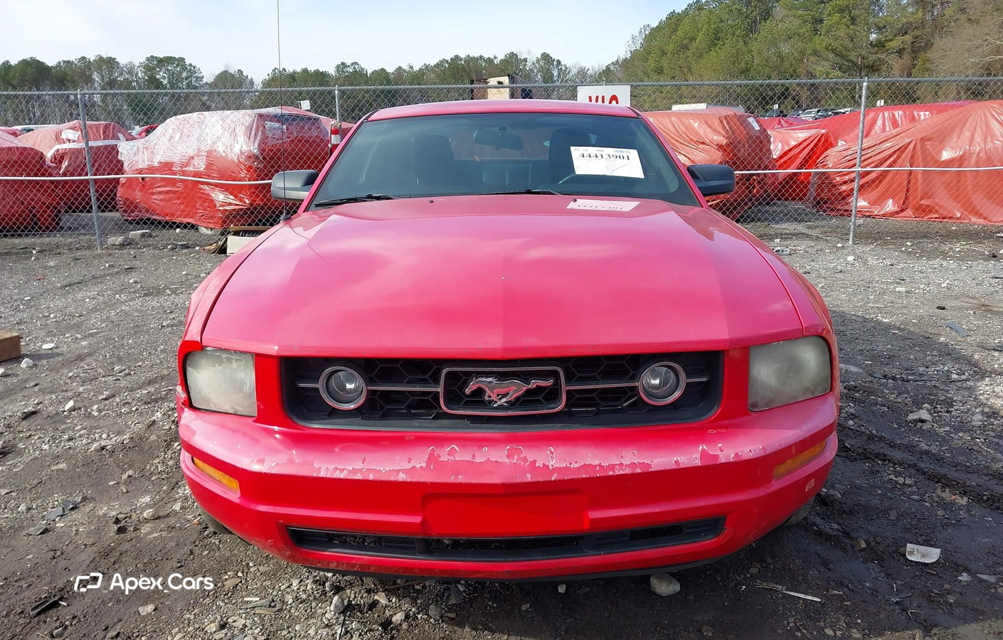 Ford Mustang 2007