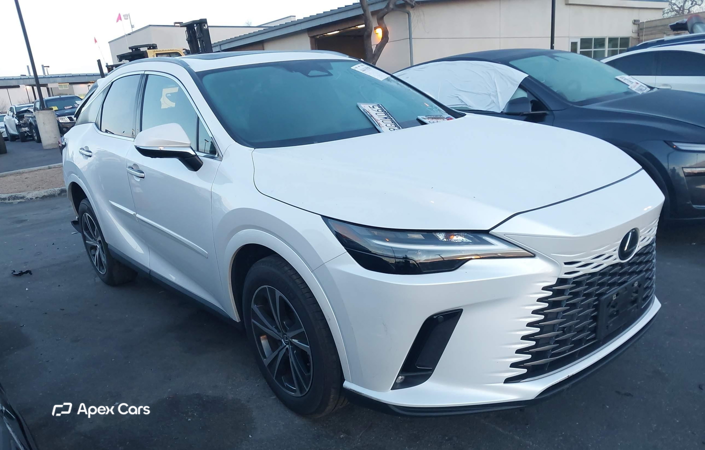 Lexus RX 2023