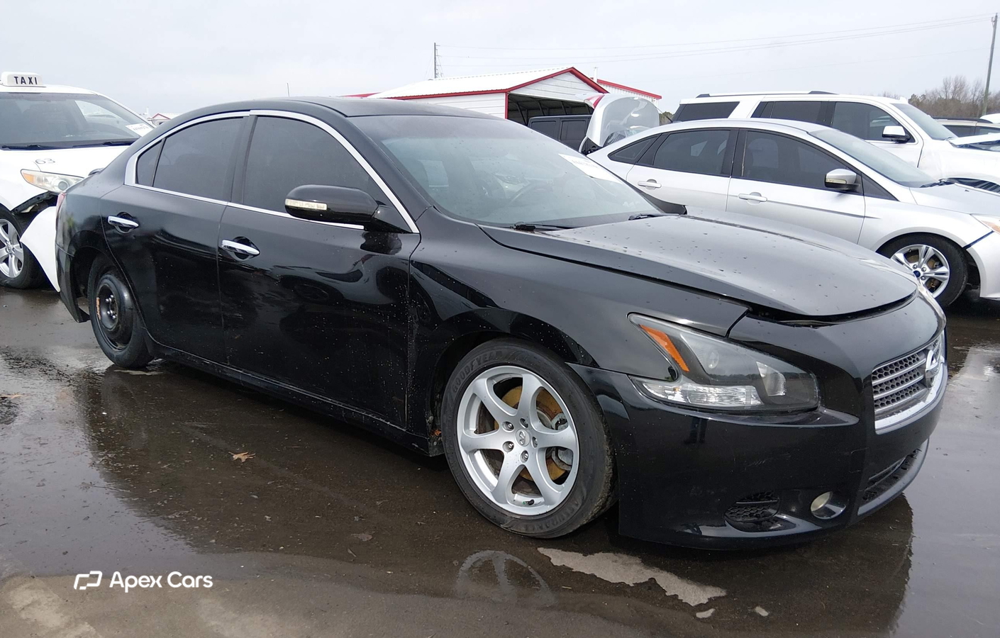 Nissan Maxima 2010
