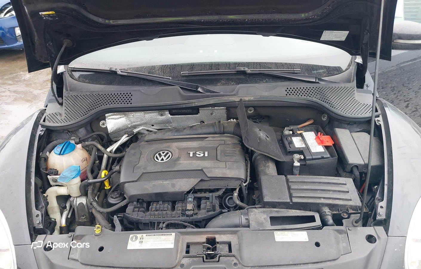 Volkswagen Beetle 2014