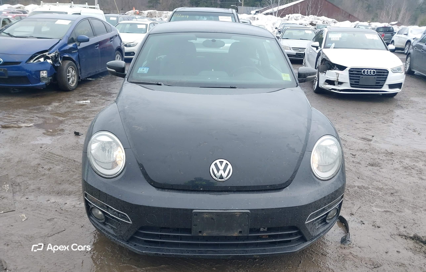 Volkswagen Beetle 2014
