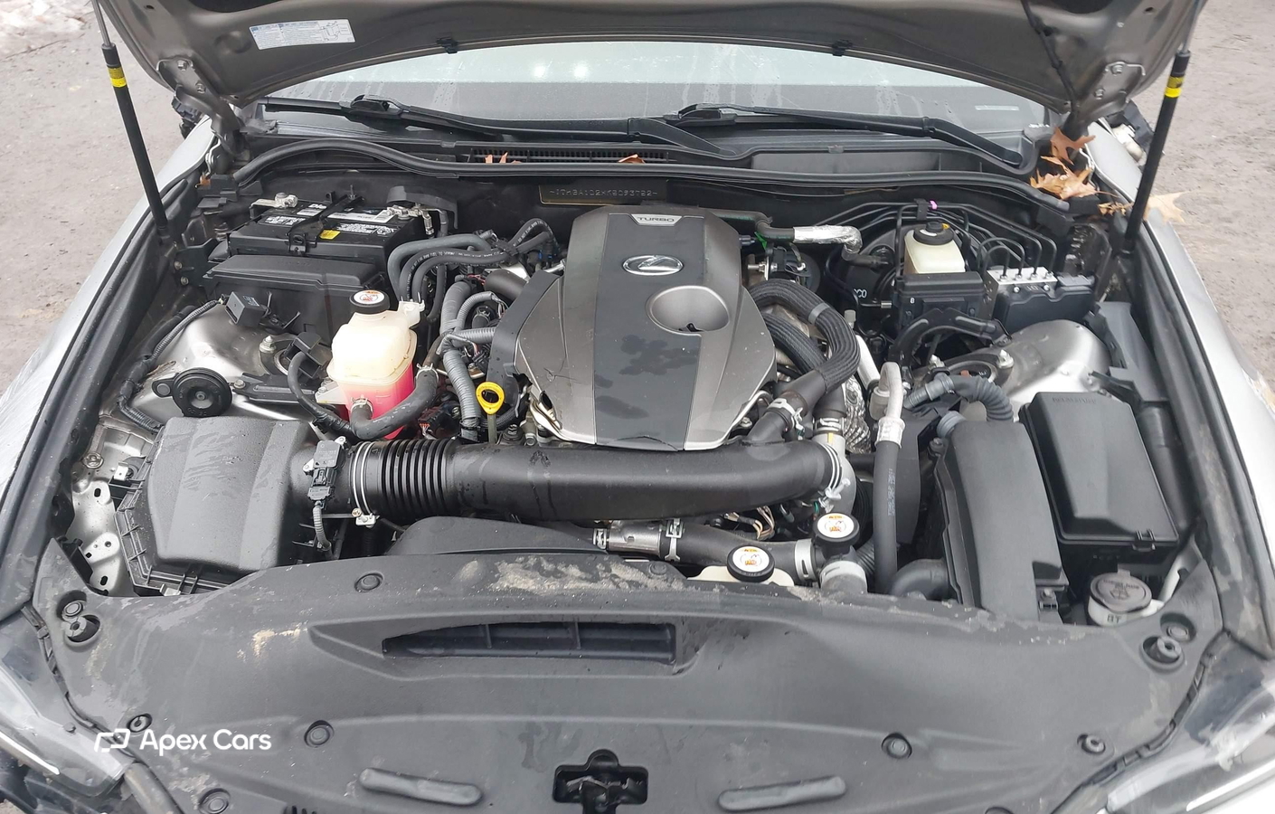 Lexus IS 2019