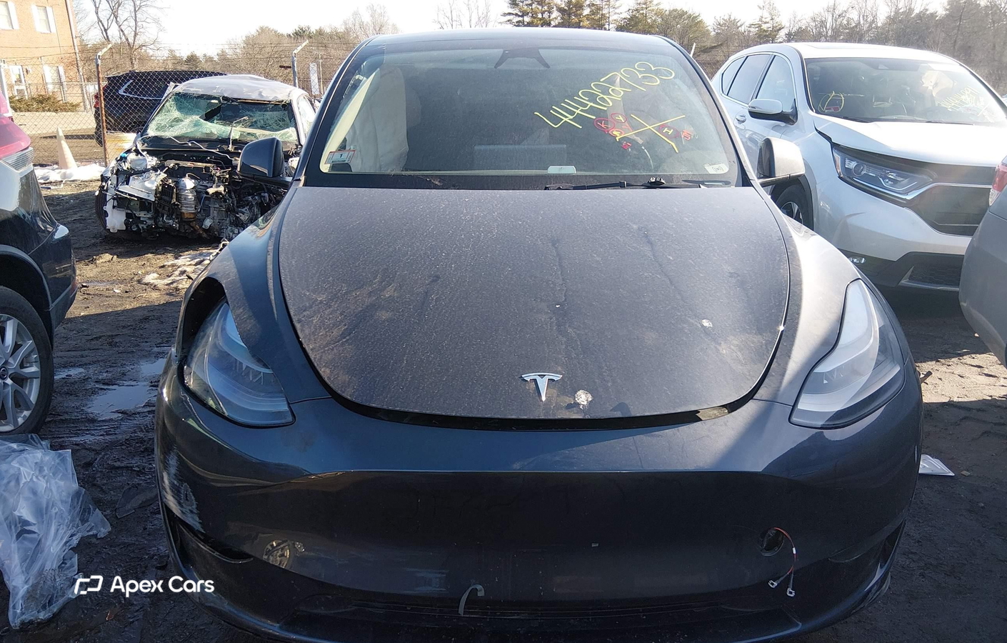 Tesla Model Y 2025