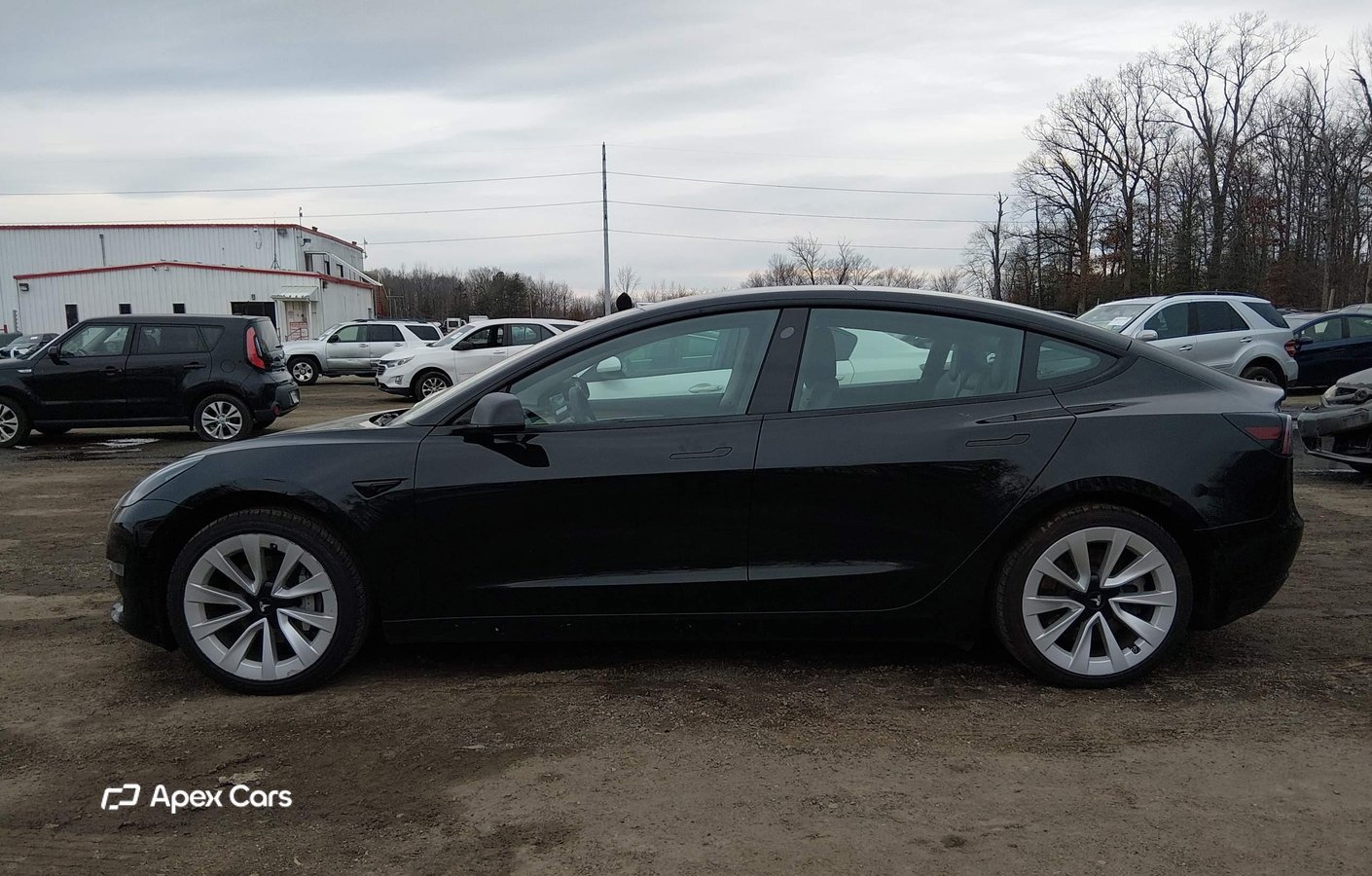 Tesla Model 3 2022