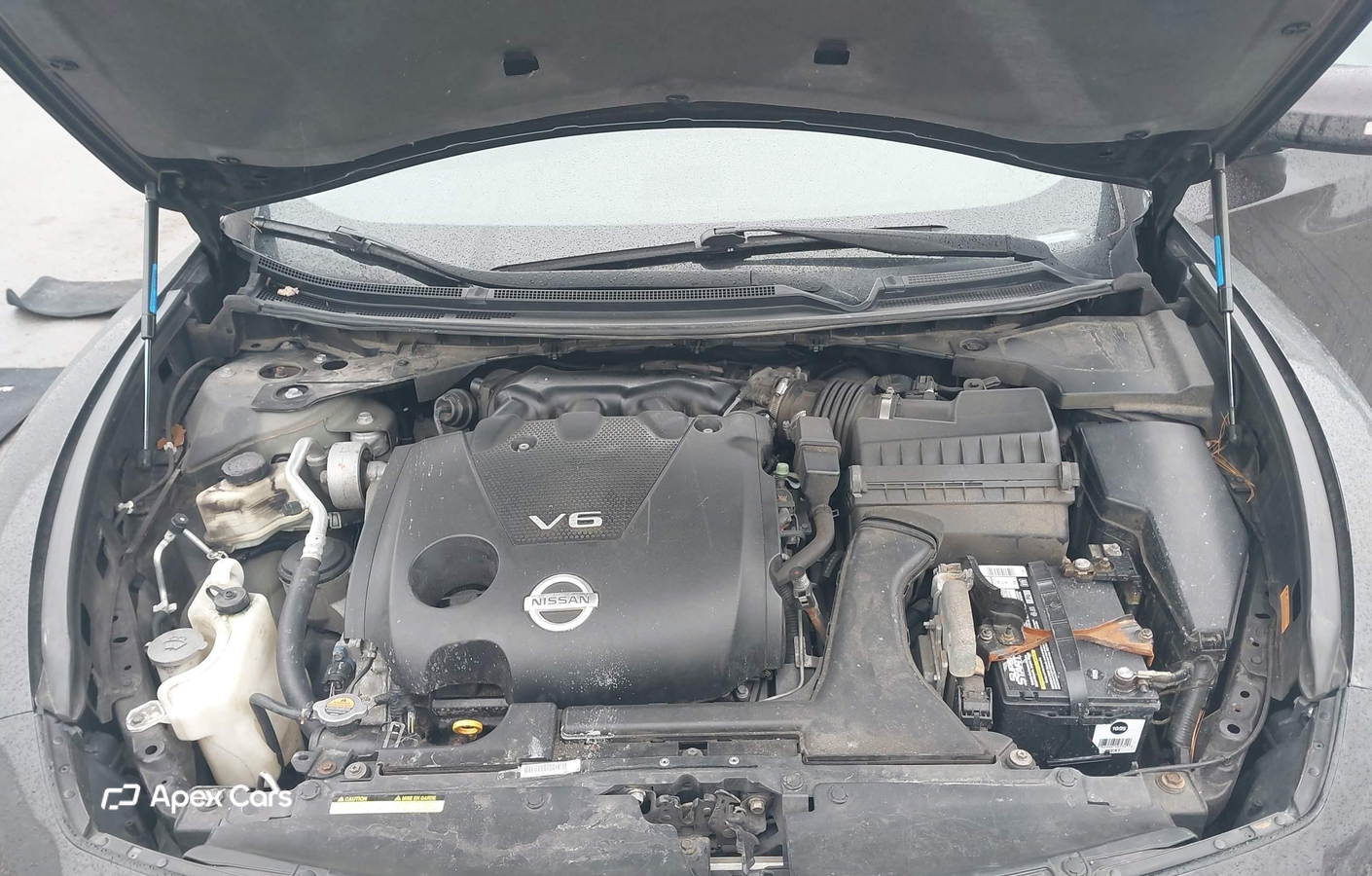 Nissan Maxima 2010