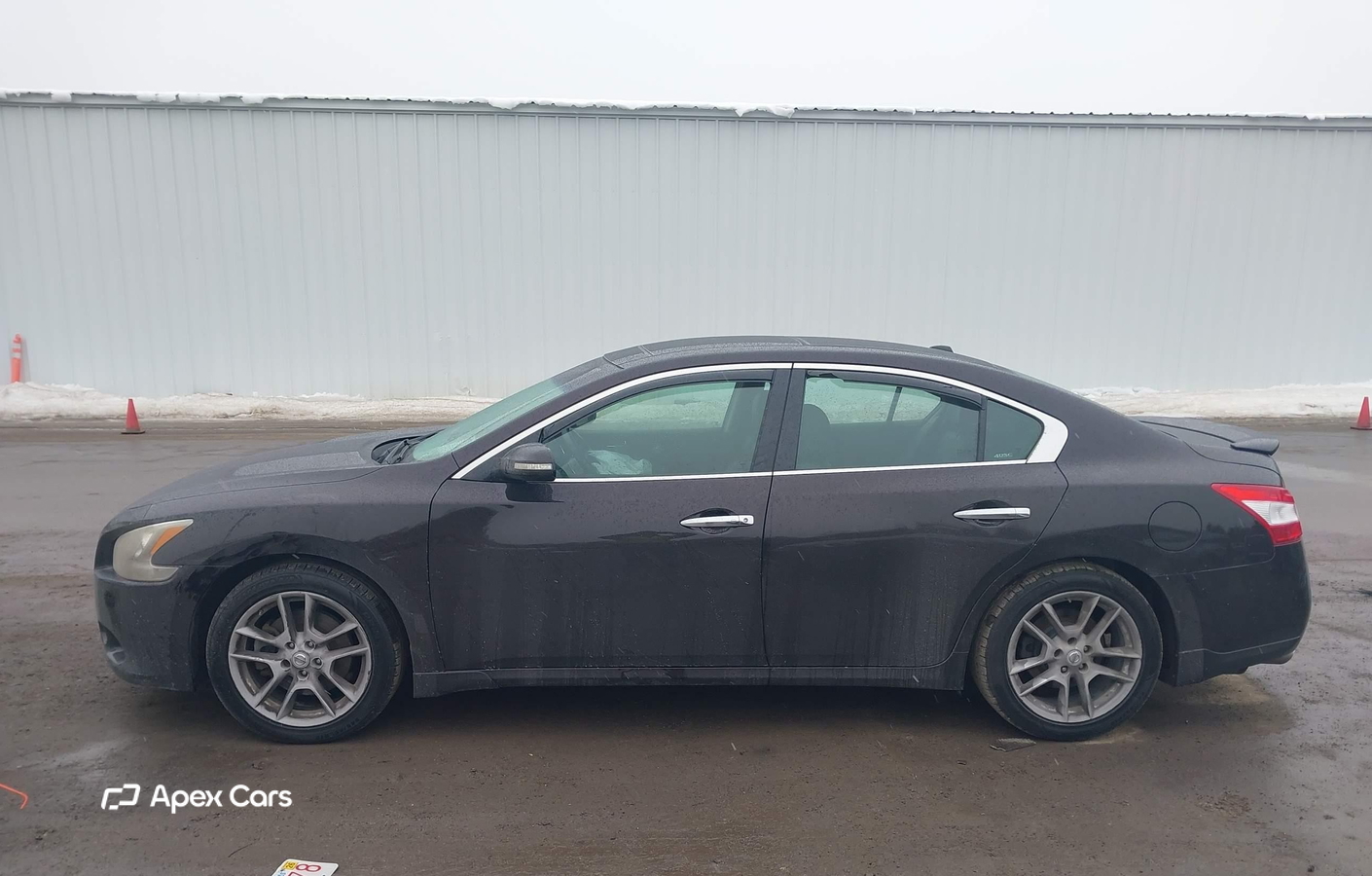 Nissan Maxima 2010