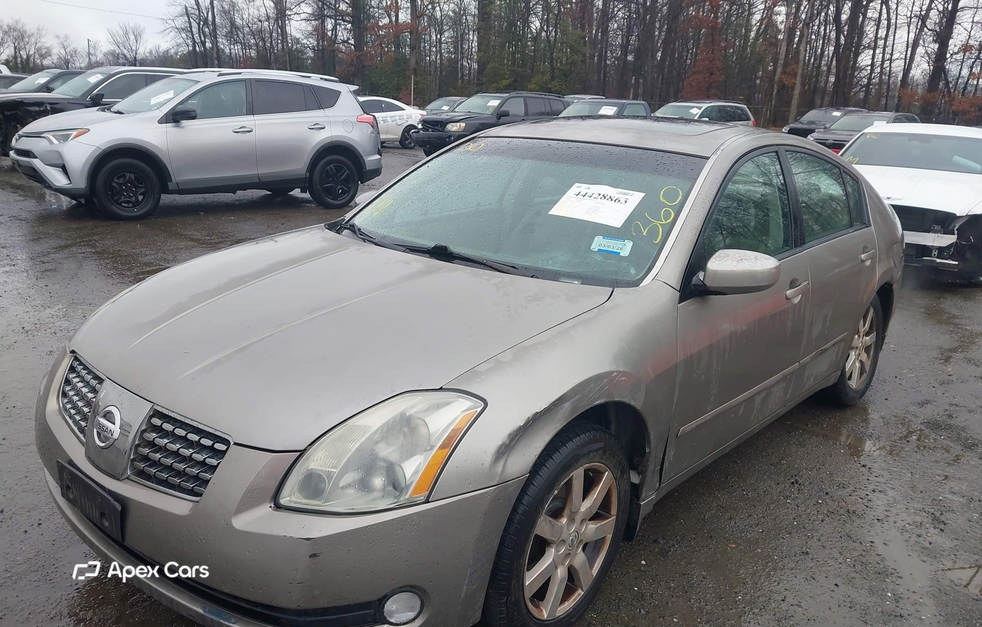 Nissan Maxima 2004