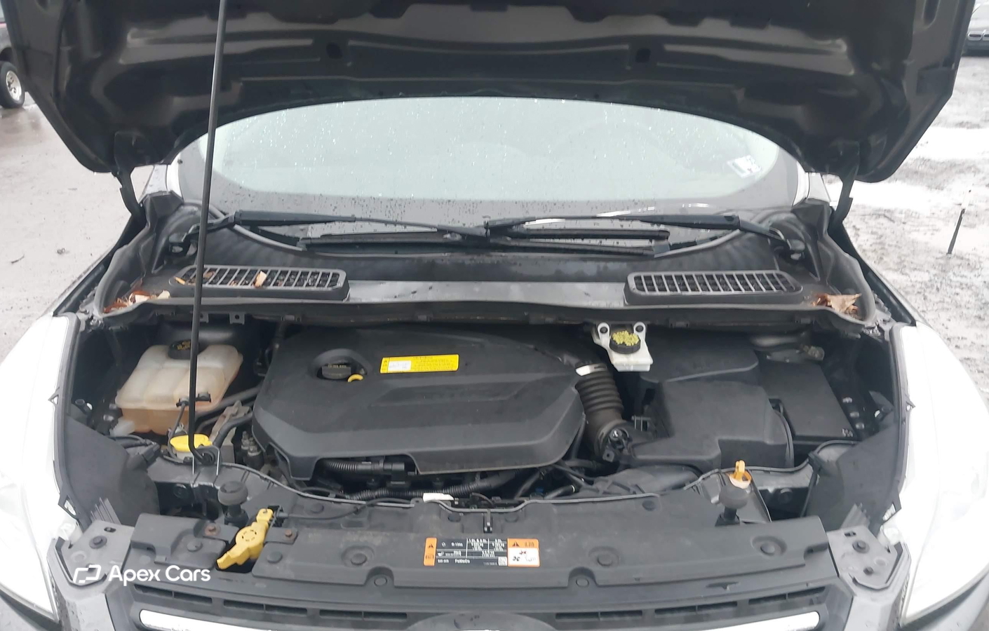 Ford Escape 2015
