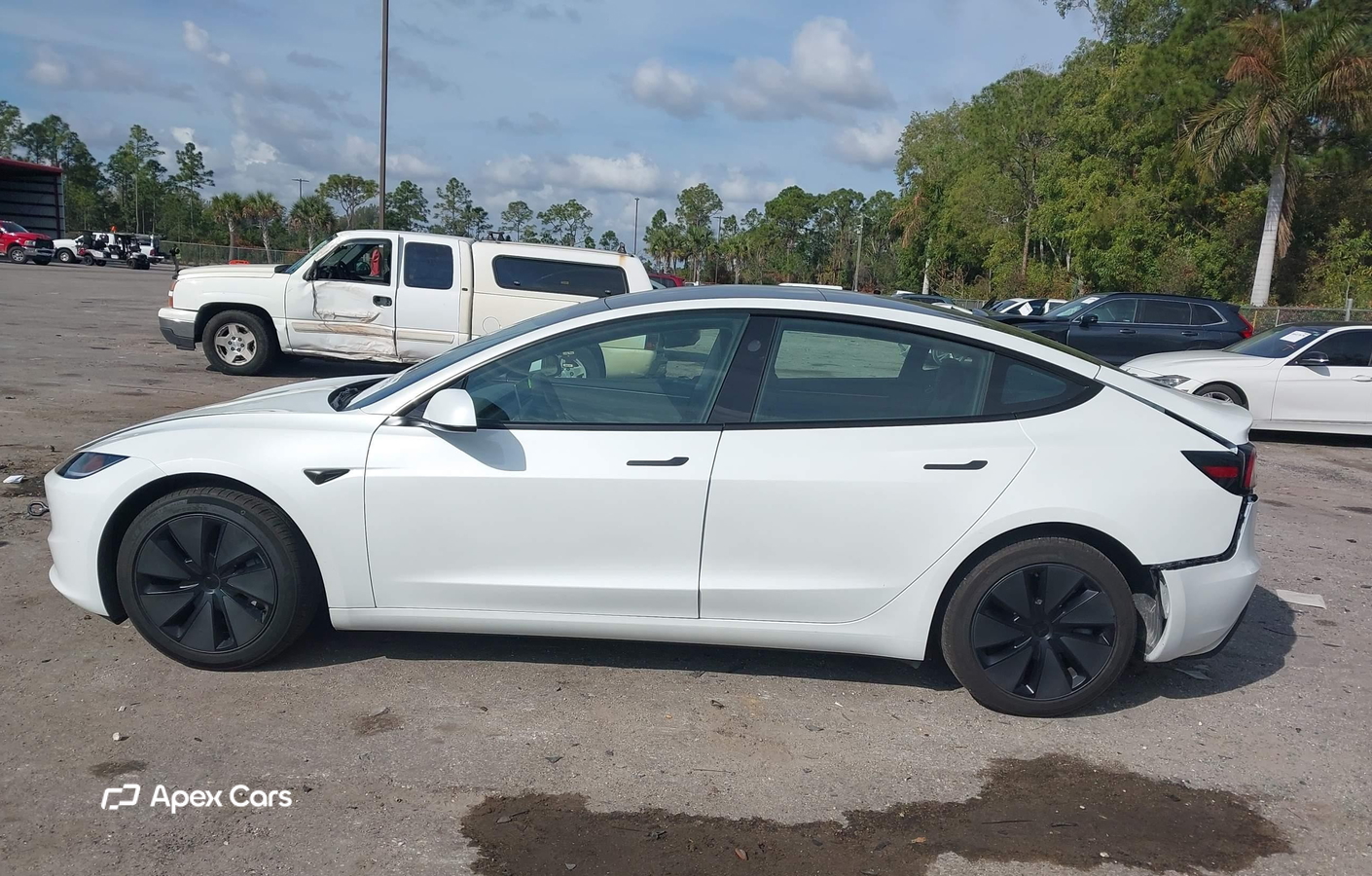 Tesla Model 3 2025