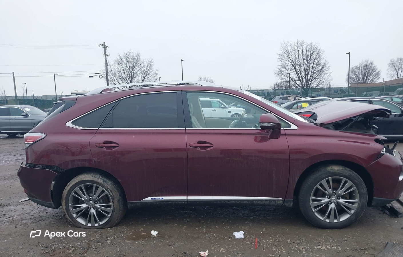 Lexus RX 2014