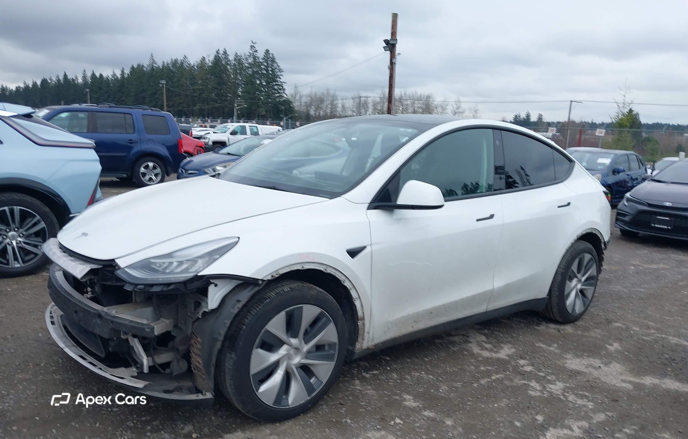 Tesla Model Y 2022