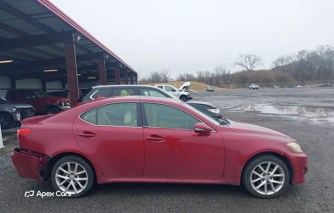 Lexus IS 2011