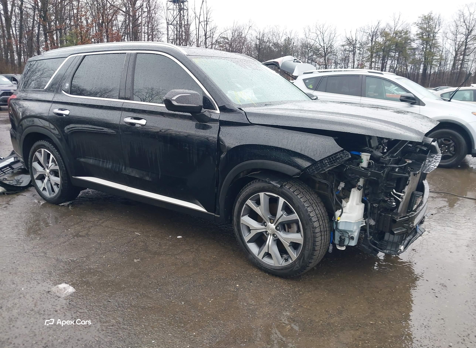 Hyundai Palisade 2021