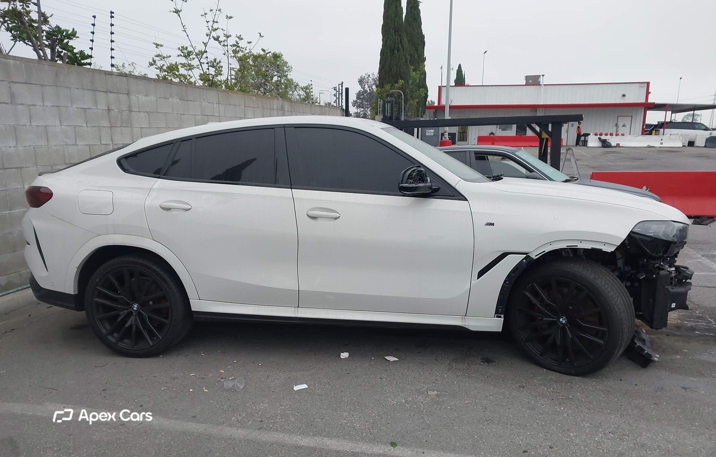 BMW X6 2025