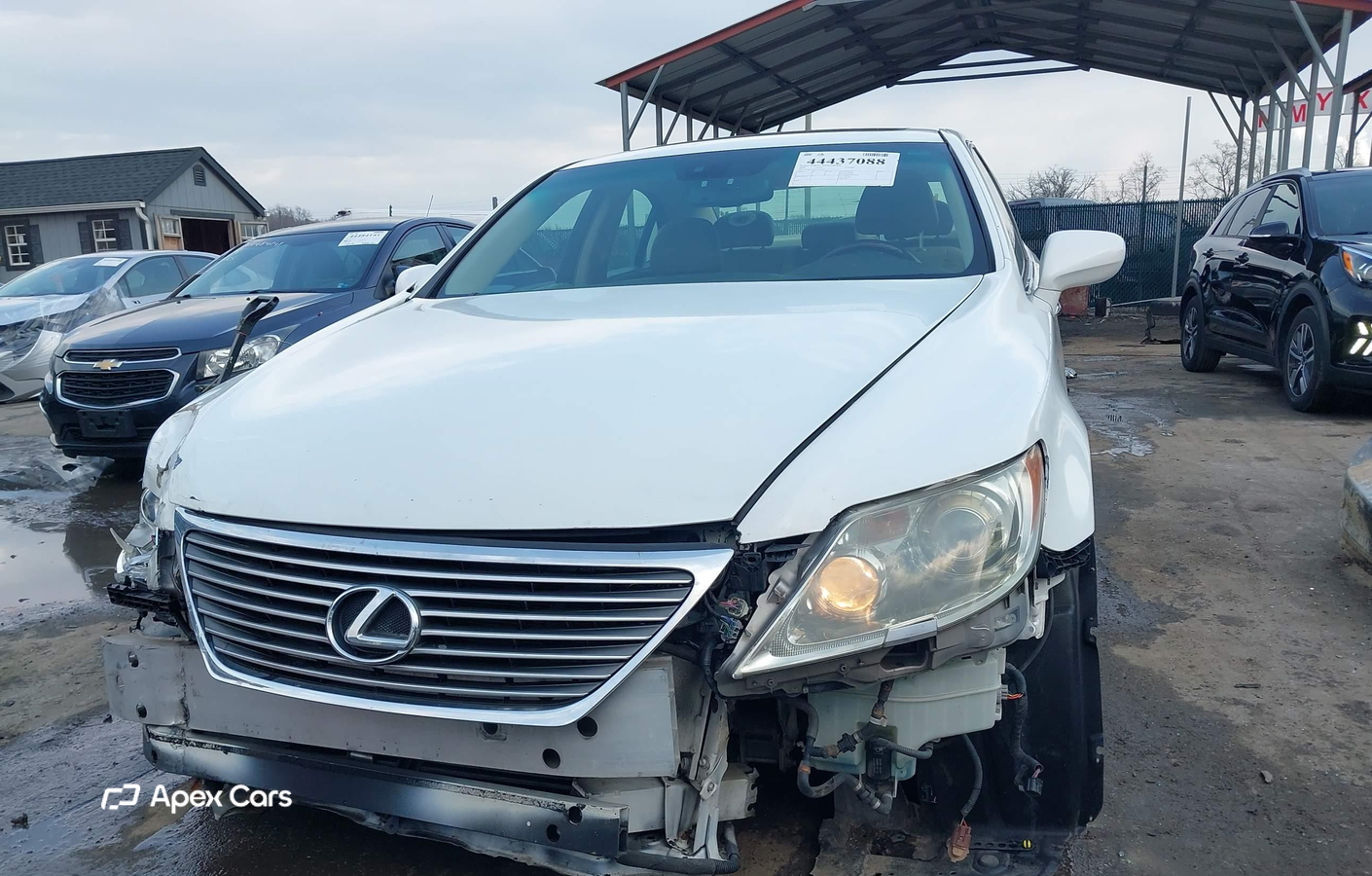 Lexus LS 2008