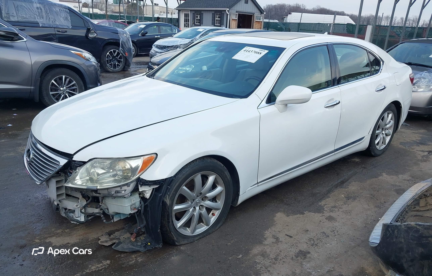 Lexus LS 2008