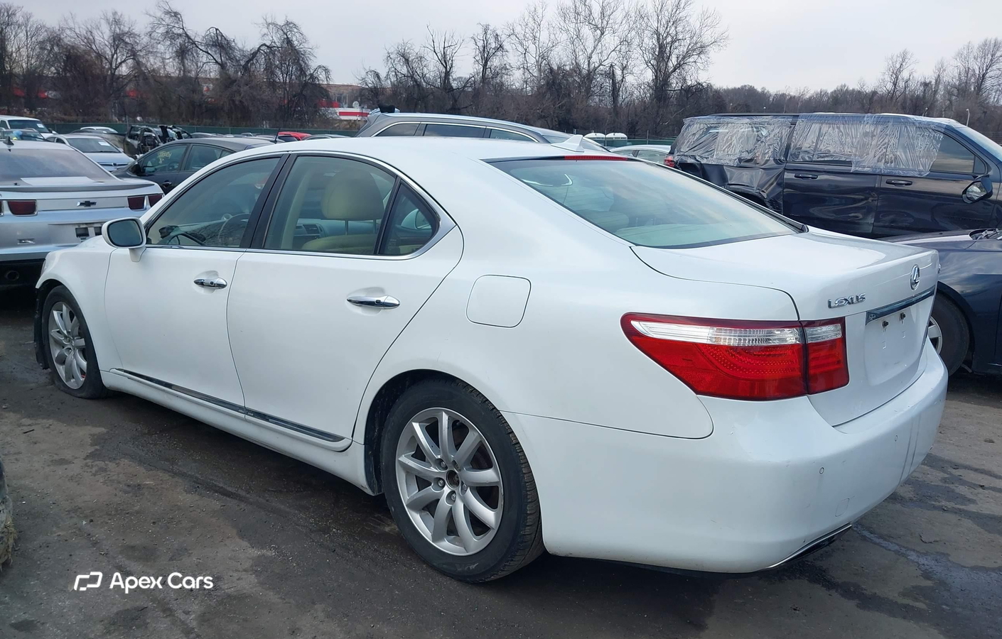 Lexus LS 2008