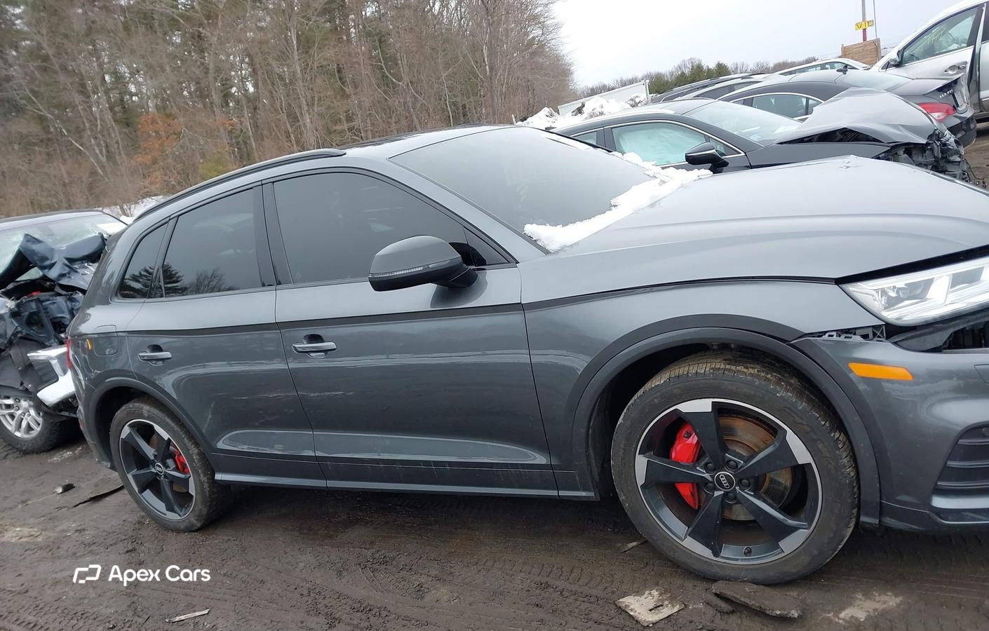 Audi SQ5 2020