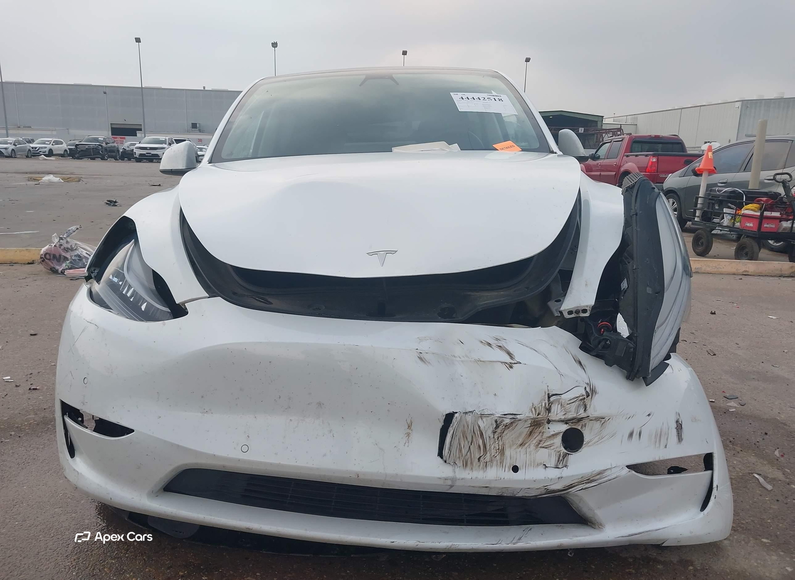 Tesla Model Y 2021