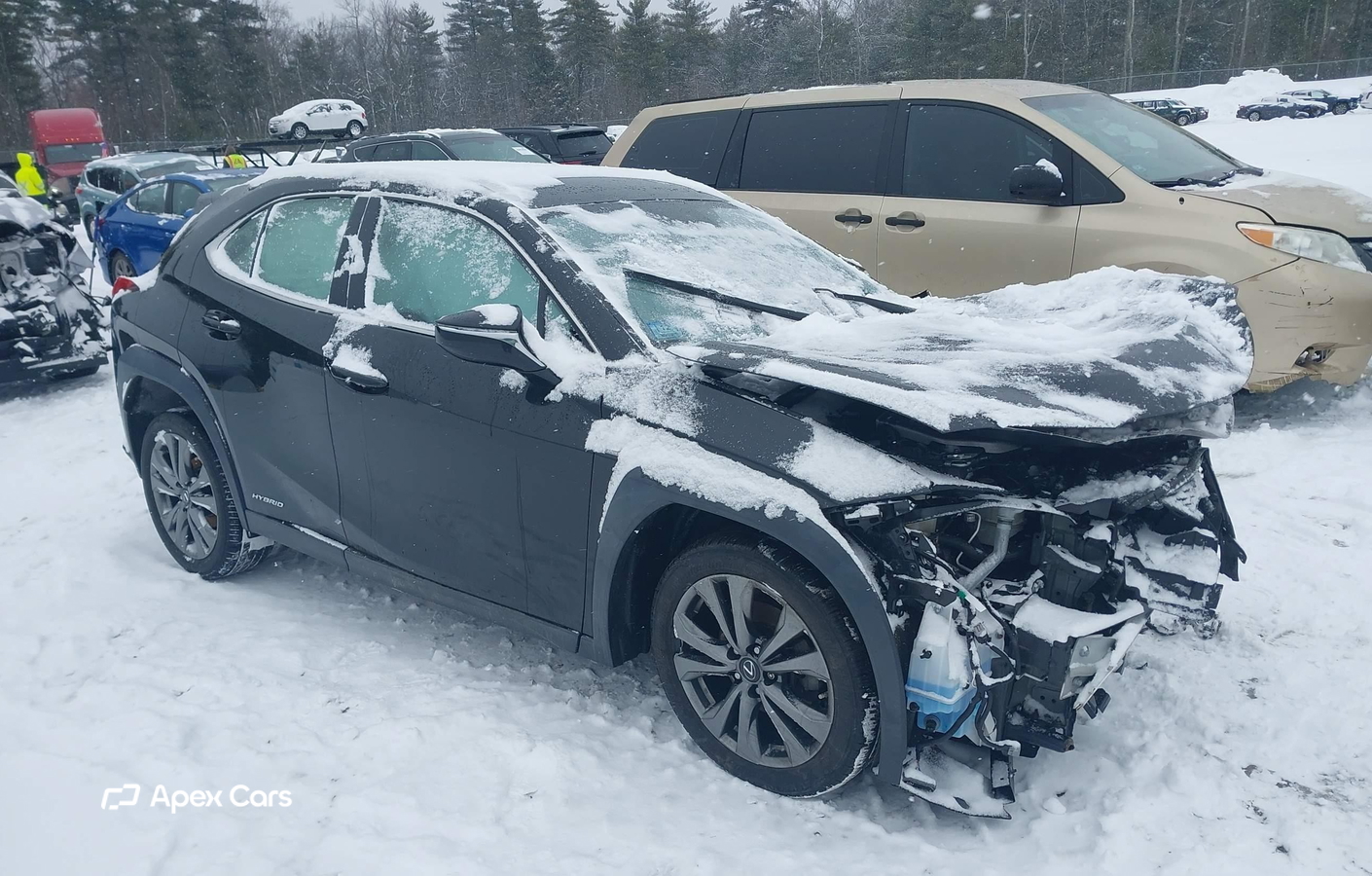 Lexus UX 2019