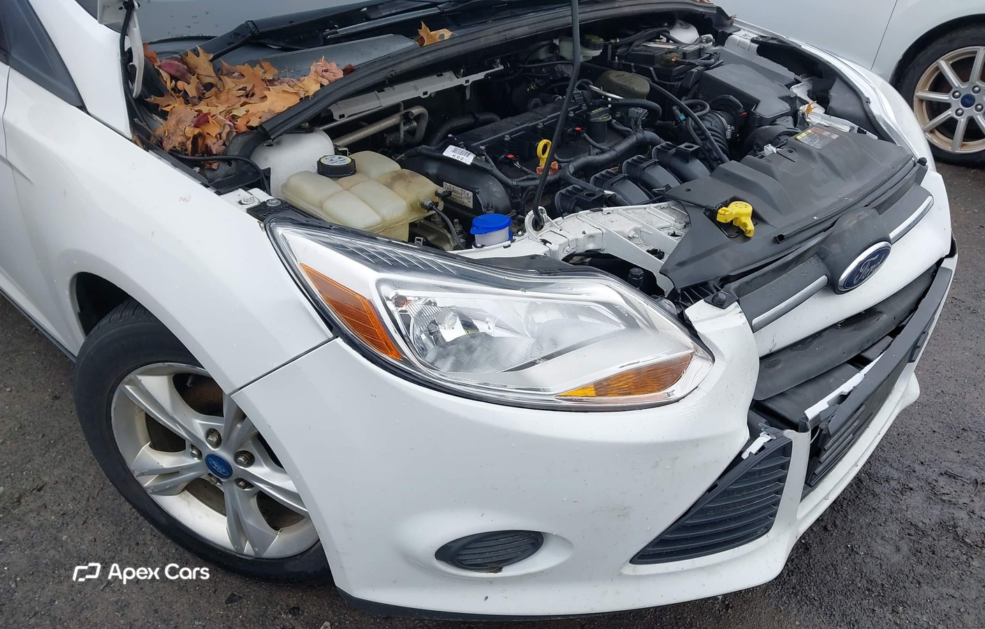 Ford Focus 2013