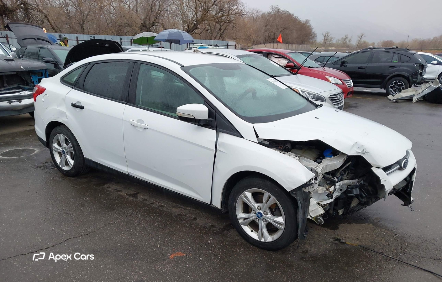 Ford Focus 2013