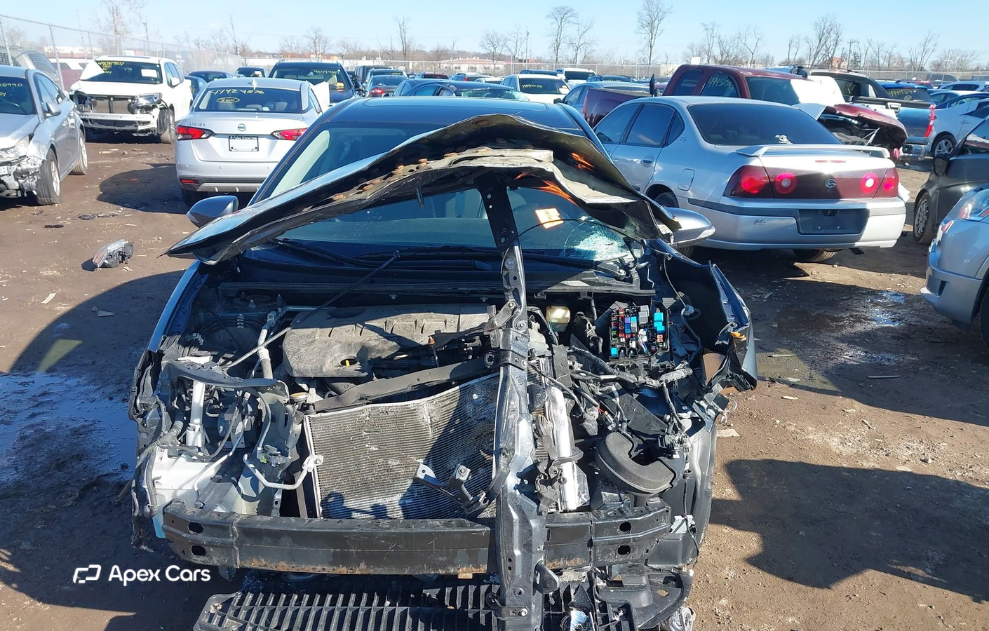 Toyota Corolla 2016