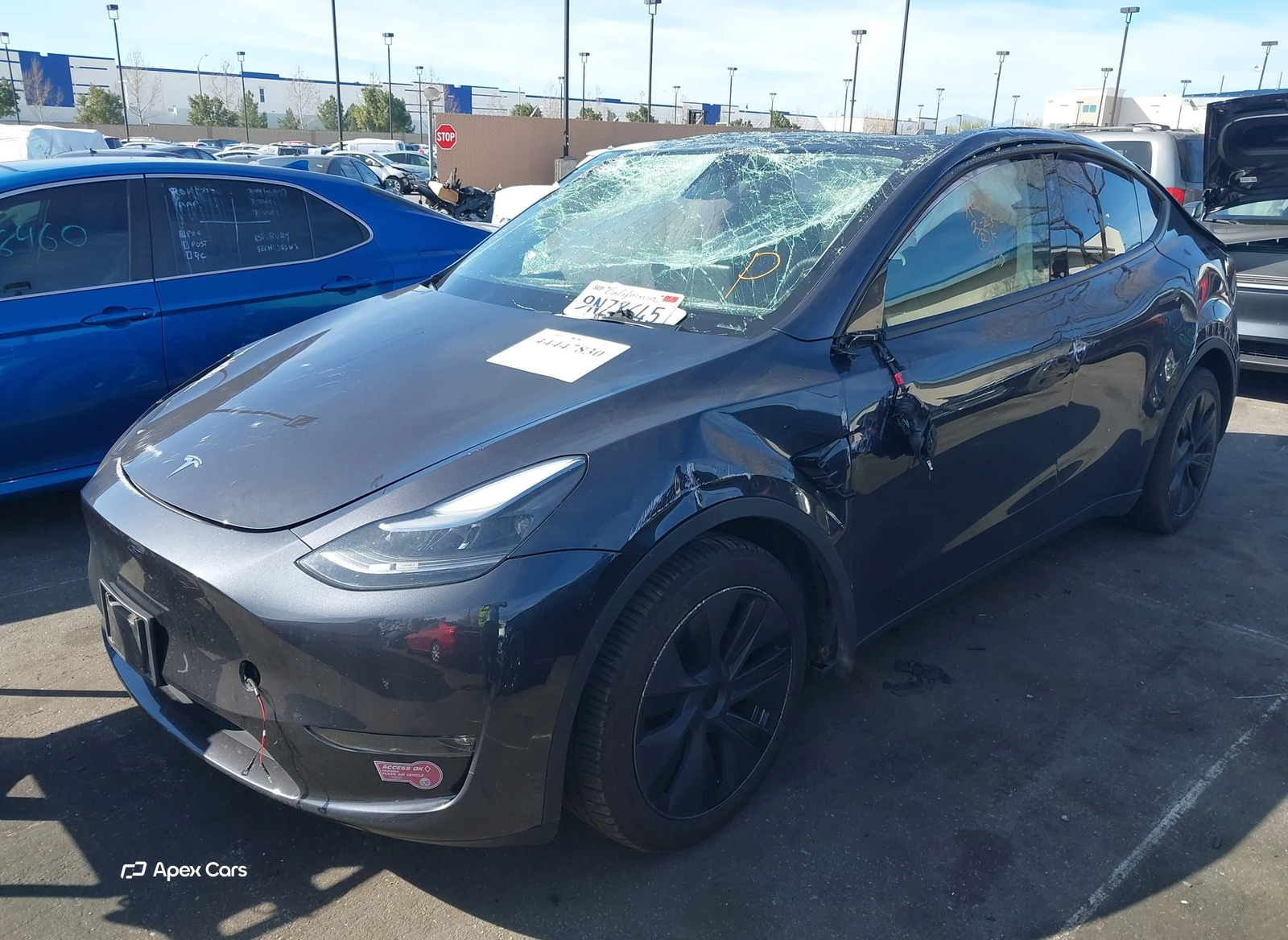 Tesla Model Y 2024
