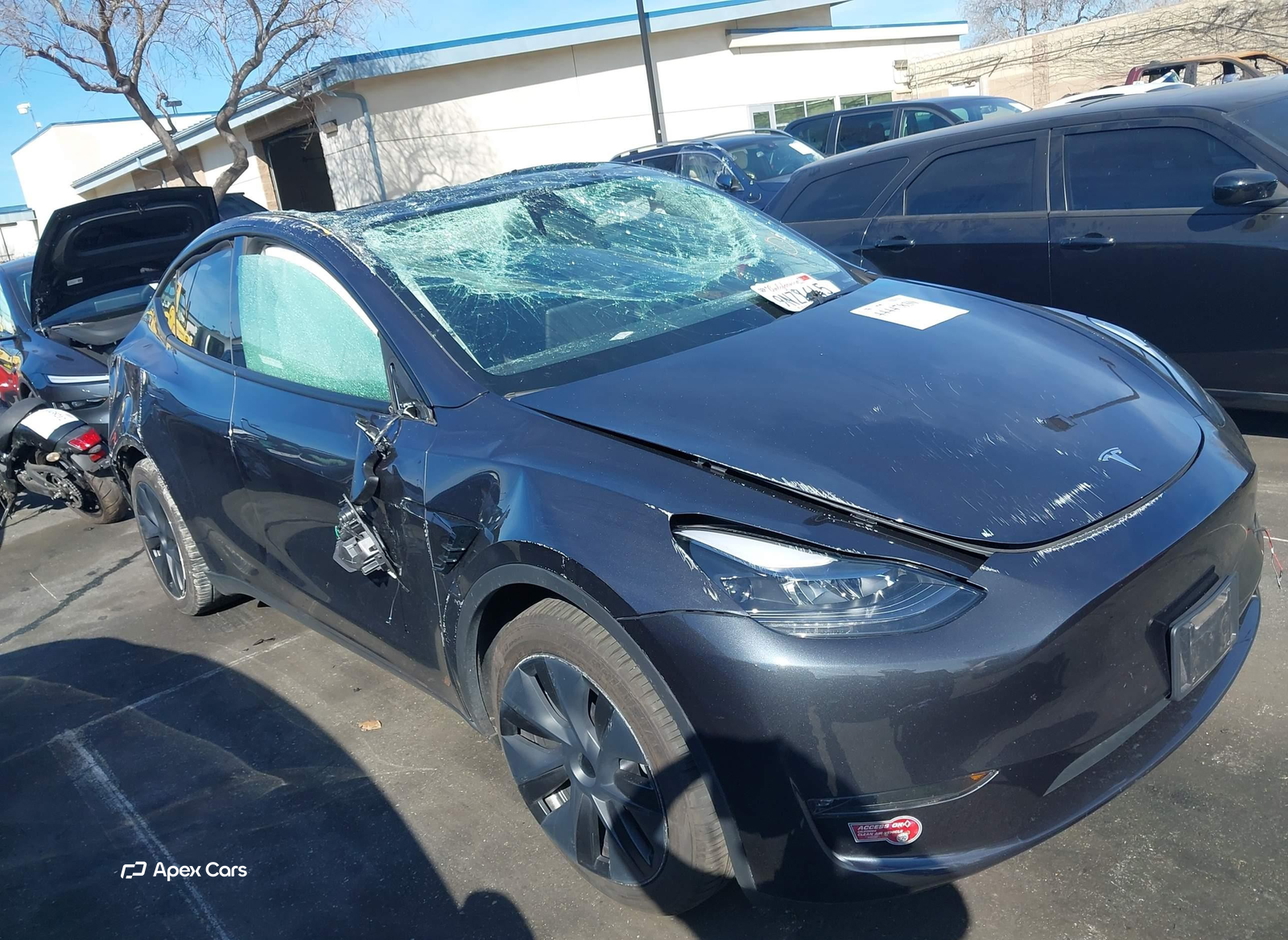 Tesla Model Y 2024
