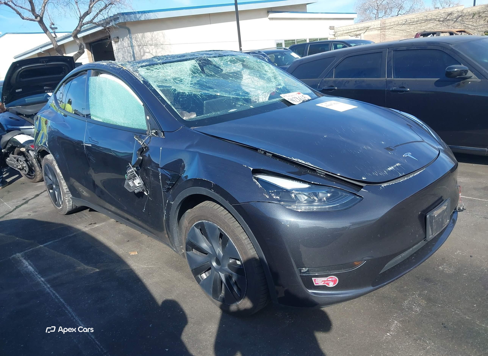 Tesla Model Y 2024