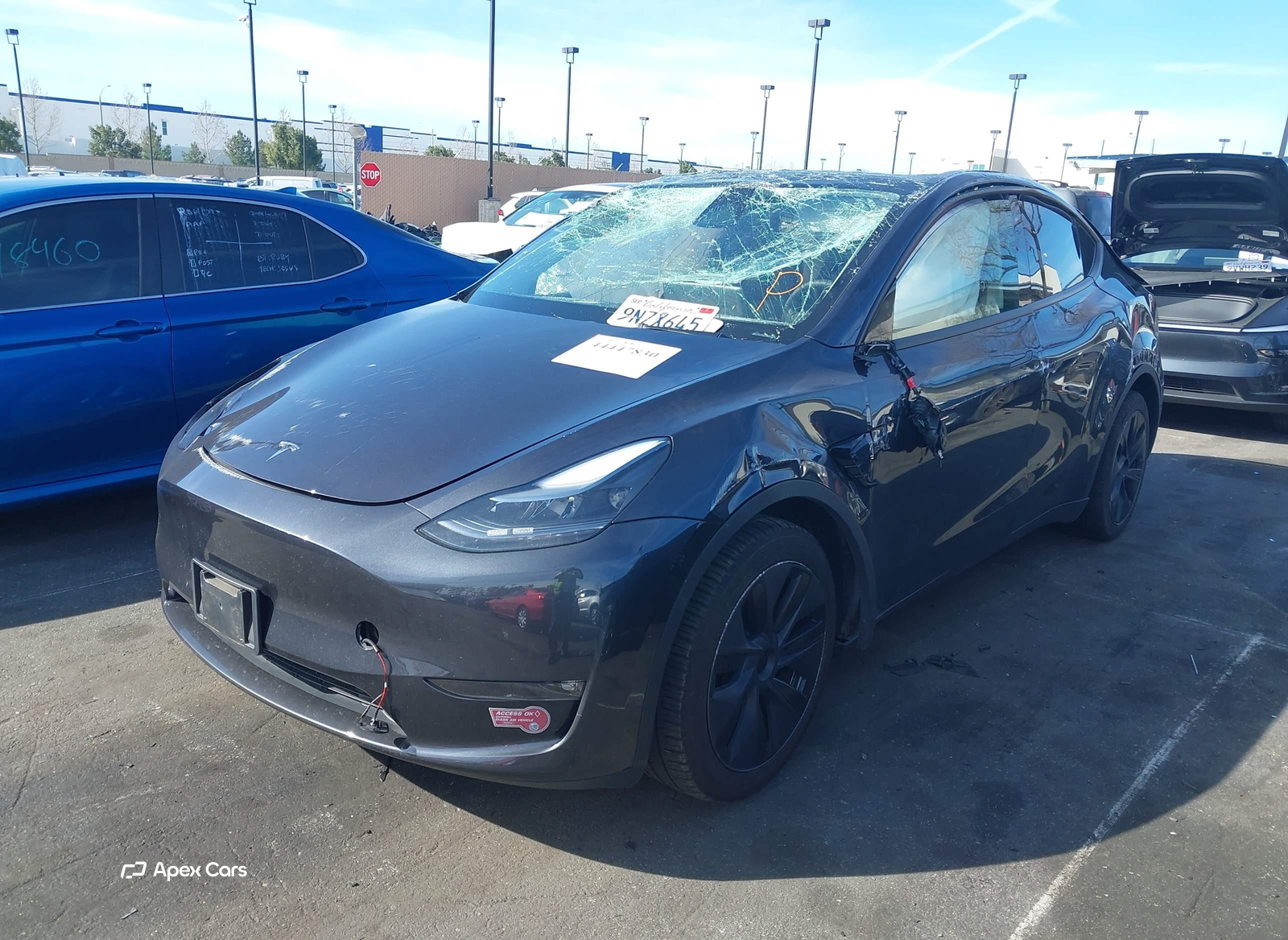 Tesla Model Y 2024