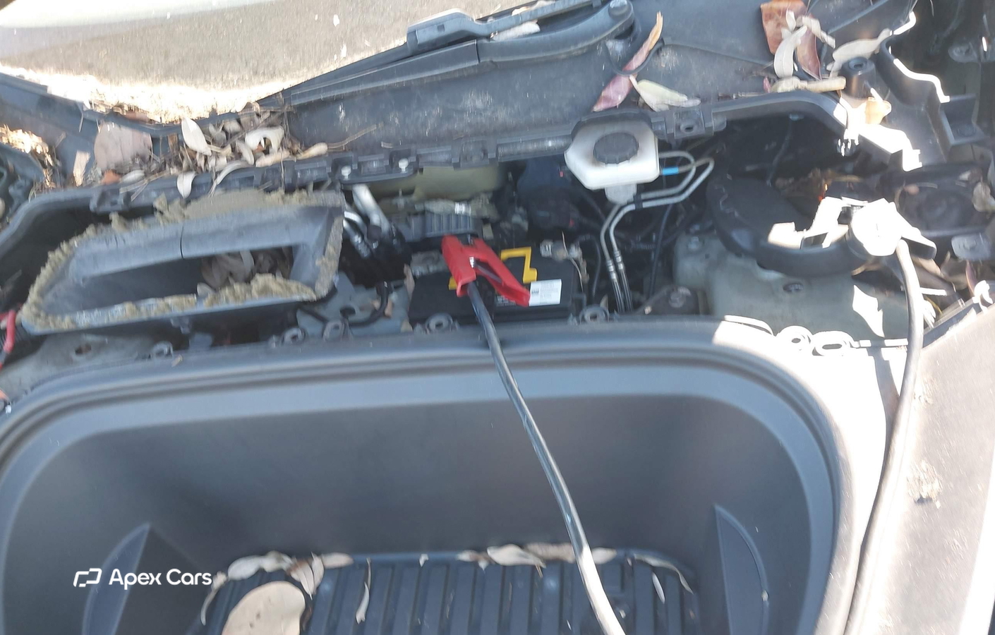 Tesla Model Y 2020